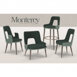Monterey Beta